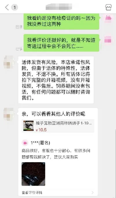 网购宠物活体盲盒，到底是惊喜还是惊吓？ | 宠物新闻资讯