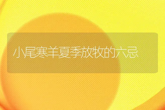 小尾寒羊夏季放牧的六忌 | 动物养殖