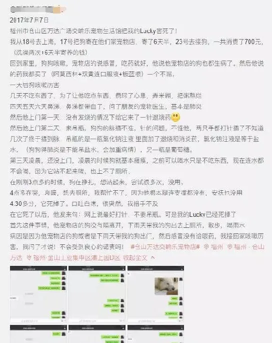 一家黑心的宠物店，到底让多少可爱的生命葬送于此! | 宠物新闻资讯