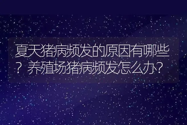 夏天猪病频发的原因有哪些？养殖场猪病频发怎么办？ | 兽医知识大全