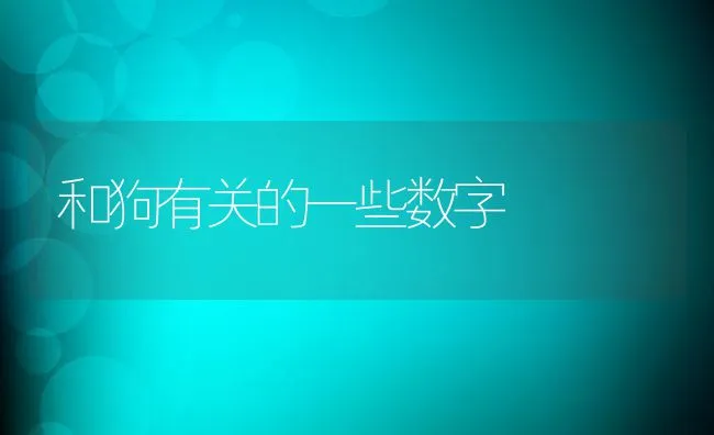 和狗有关的一些数字 | 宠物猫