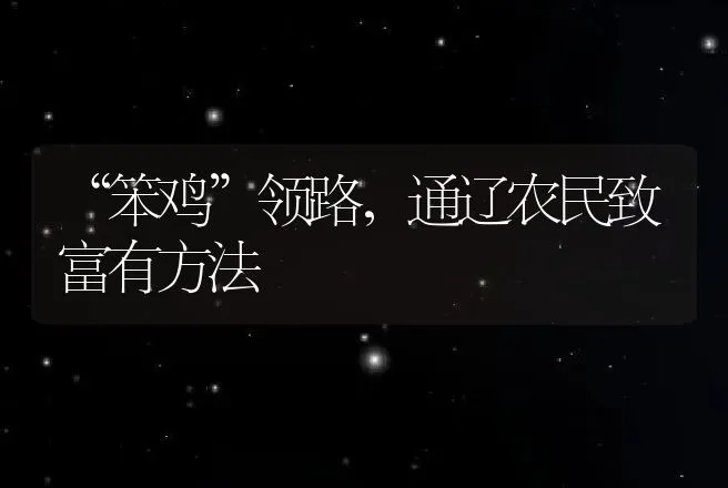 “笨鸡”领路，通辽农民致富有方法 | 养殖致富