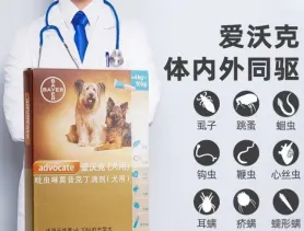 深圳27种禁养犬种名单，你家狗狗在其中吗？ | 宠物政策法规