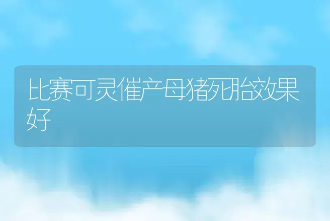 比赛可灵催产母猪死胎效果好 | 动物养殖