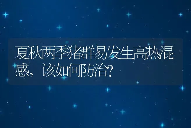 夏秋两季猪群易发生高热混感，该如何防治？ | 家畜养殖