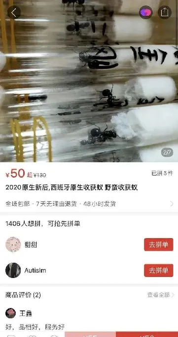 网购宠物活体盲盒，到底是惊喜还是惊吓？ | 宠物新闻资讯