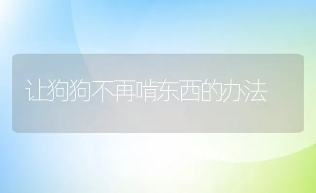 让狗狗不再啃东西的办法 | 宠物病虫害