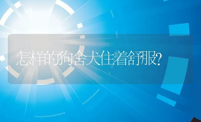 怎样的狗舍犬住着舒服? | 宠物病虫害