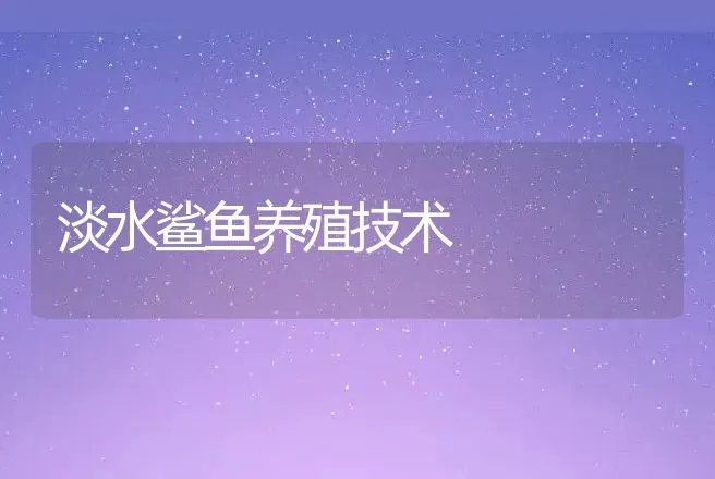 淡水鲨鱼养殖技术 | 动物养殖