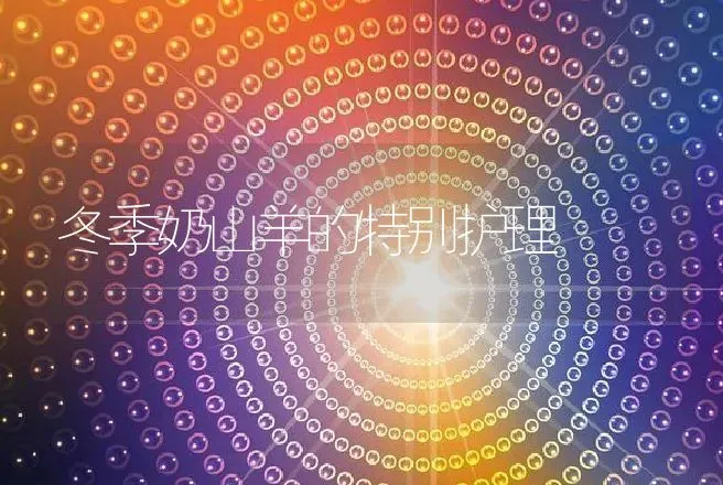 冬季奶山羊的特别护理 | 动物养殖