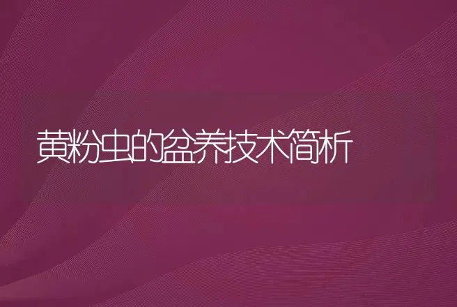 黄粉虫的盆养技术简析 | 特种养殖