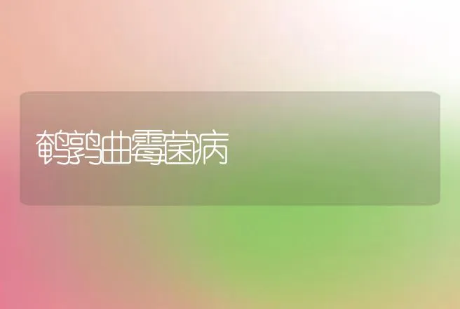 鹌鹑曲霉菌病 | 动物养殖