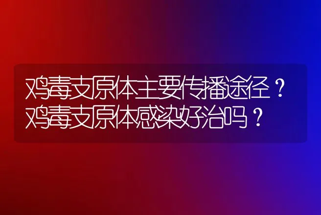 鸡毒支原体主要传播途径？鸡毒支原体感染好治吗？ | 兽医知识大全