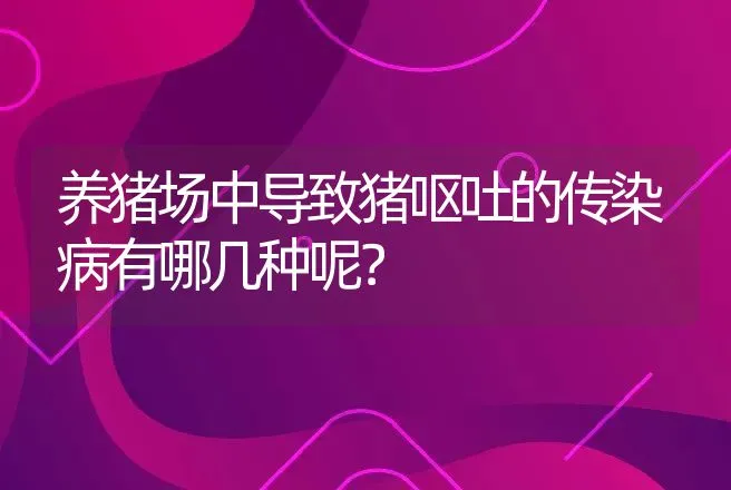 养猪场中导致猪呕吐的传染病有哪几种呢？ | 兽医知识大全