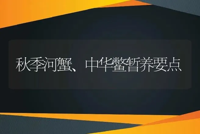 秋季河蟹、中华鳖暂养要点 | 动物养殖