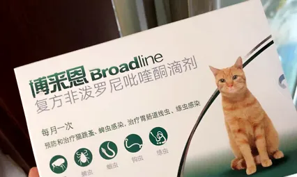 寄生虫害人害猫,猫咪驱虫有多重要? | 宠物猫病虫害防治