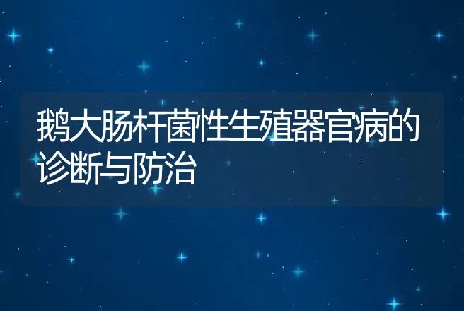 鹅大肠杆菌性生殖器官病的诊断与防治 | 家禽养殖