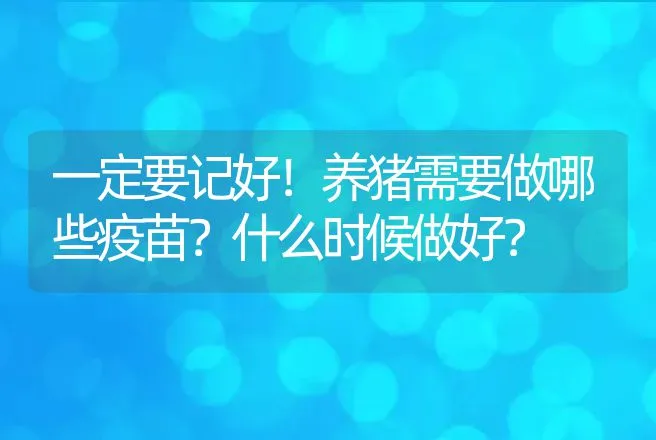 一定要记好！养猪需要做哪些疫苗？什么时候做好？ | 兽医知识大全