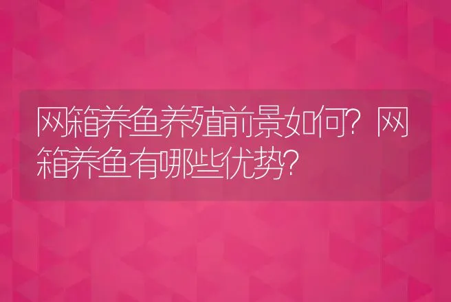 牛蓝舌病如何防治？ | 家畜养殖