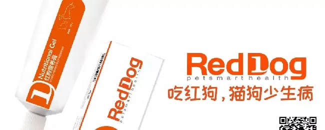 RedDog红狗冠名人宠彩跑，红狗杯上海站炫彩开跑 | 宠物新闻资讯