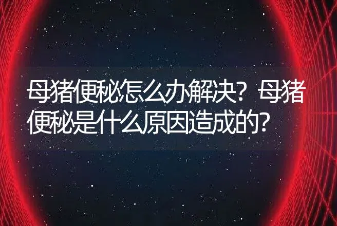 母猪便秘怎么办解决？母猪便秘是什么原因造成的？ | 兽医知识大全