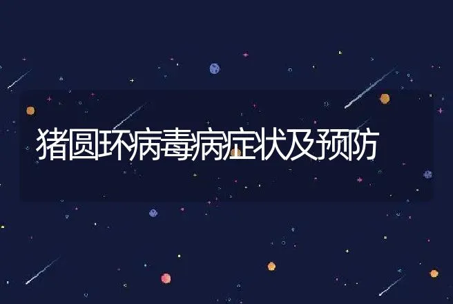 猪圆环病毒病症状及预防 | 兽医知识大全
