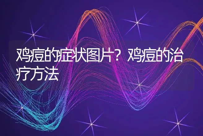 鸡痘的症状图片？鸡痘的治疗方法 | 兽医知识大全