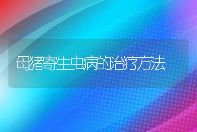 母猪寄生虫病的治疗方法 | 兽医知识大全