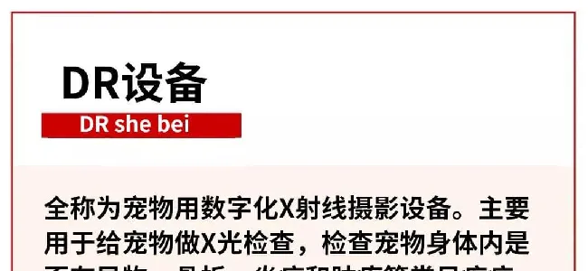 宠物医院真的是暴利?全案解析新瑞鹏、瑞派、佳雯…揭秘行业30年的潜规则 | 宠物行业洞察