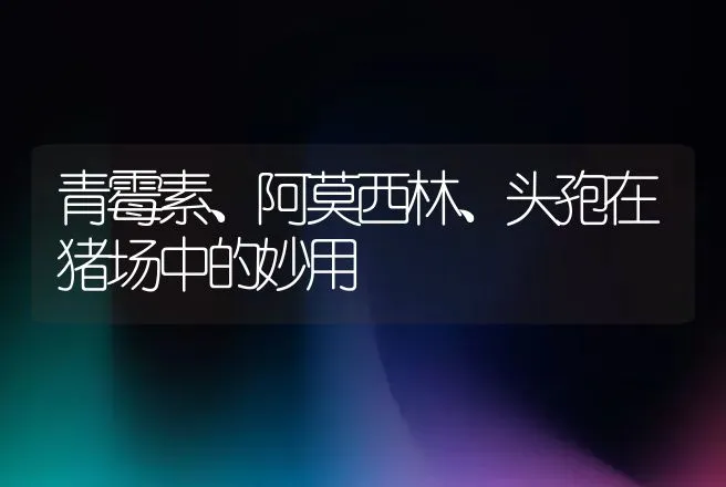 青霉素、阿莫西林、头孢在猪场中的妙用 | 兽医知识大全