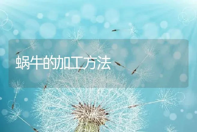 蜗牛的加工方法 | 特种养殖