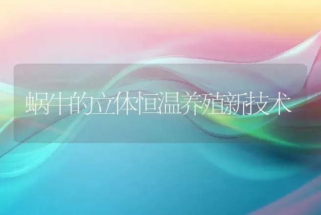 蜗牛的立体恒温养殖新技术 | 动物养殖