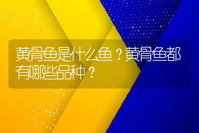 黄骨鱼是什么鱼？黄骨鱼都有哪些品种？ | 动物养殖