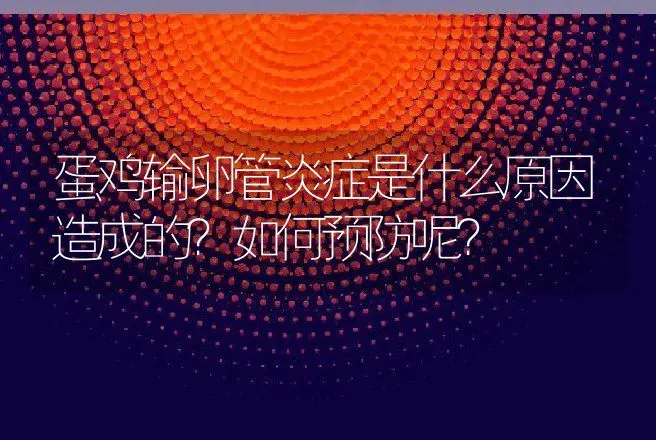 蛋鸡输卵管炎症是什么原因造成的？如何预防呢？ | 兽医知识大全