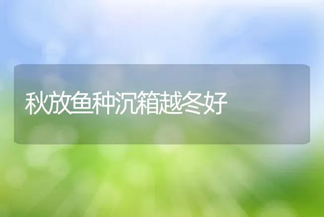 秋放鱼种沉箱越冬好 | 动物养殖