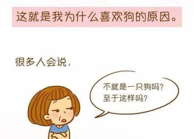 只有养过狗的才会明白，它如此重要！ | 宠物新闻资讯