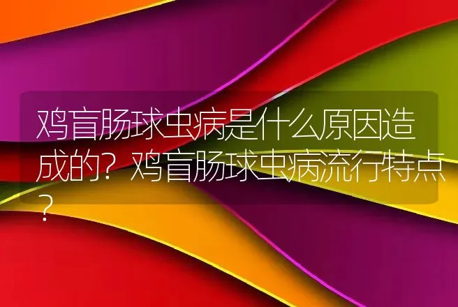 鸡盲肠球虫病是什么原因造成的？鸡盲肠球虫病流行特点？ | 兽医知识大全