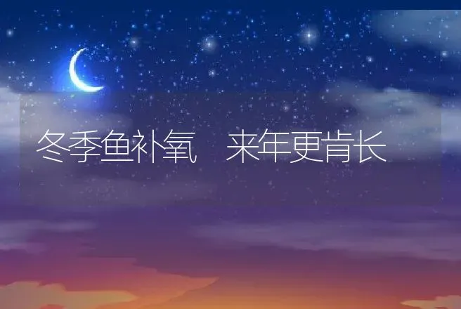 冬季鱼补氧 来年更肯长 | 动物养殖