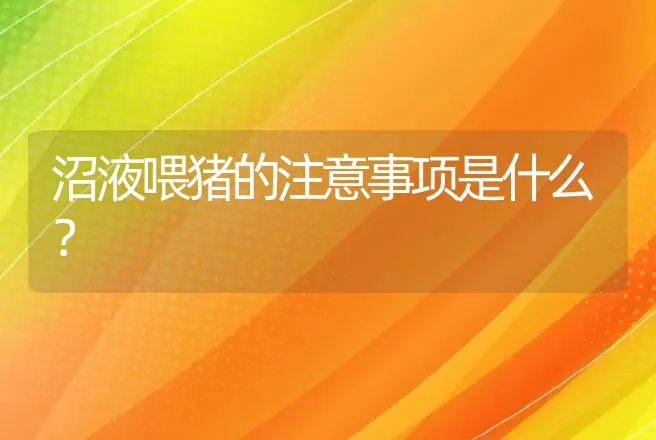 沼液喂猪的注意事项是什么？ | 动物养殖