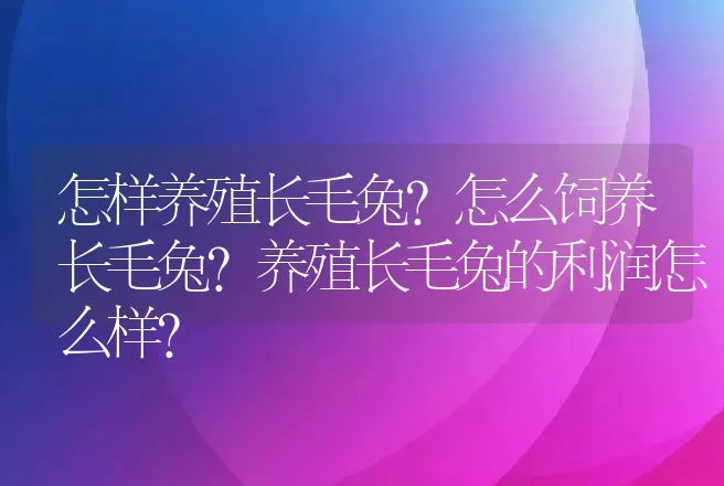 怎样养殖长毛兔？怎么饲养长毛兔？养殖长毛兔的利润怎么样？ | 养殖致富