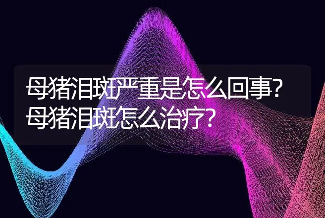 母猪泪斑严重是怎么回事？母猪泪斑怎么治疗？ | 兽医知识大全