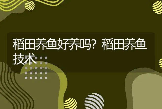 稻田养鱼好养吗？稻田养鱼技术 | 水产知识