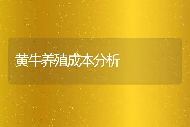 黄牛养殖成本分析 | 家畜养殖