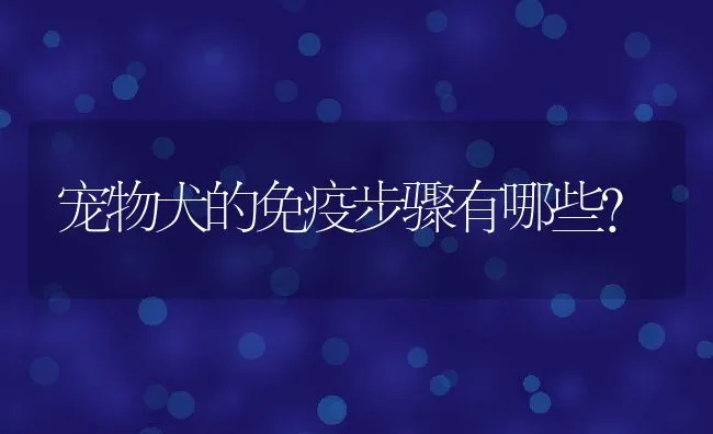 宠物犬的免疫步骤有哪些? | 宠物趣闻