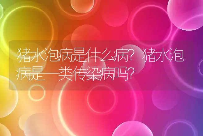 猪水泡病是什么病？猪水泡病是一类传染病吗？ | 兽医知识大全