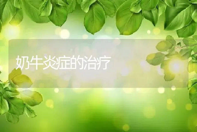 奶牛炎症的治疗 | 动物养殖