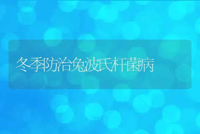 冬季防治兔波氏杆菌病 | 动物养殖