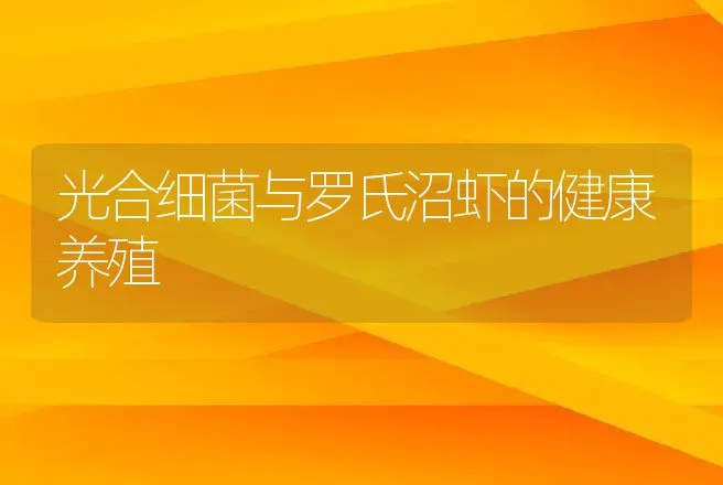 光合细菌与罗氏沼虾的健康养殖 | 动物养殖