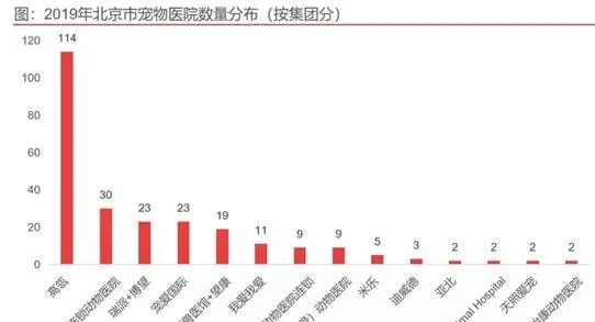 宠物医院真的是暴利?全案解析新瑞鹏、瑞派、佳雯…揭秘行业30年的潜规则 | 宠物行业洞察