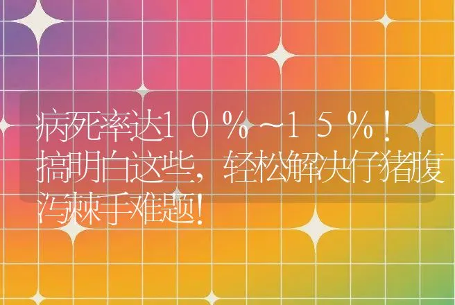 病死率达10%～15%！搞明白这些，轻松解决仔猪腹泻棘手难题！ | 兽医知识大全